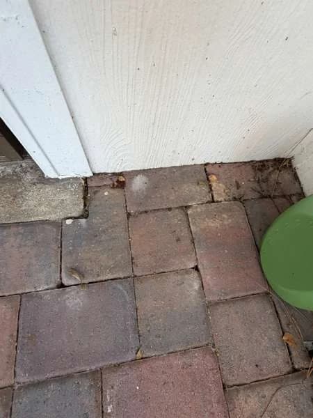 Brick pavers meeting the wall with siding running below them
