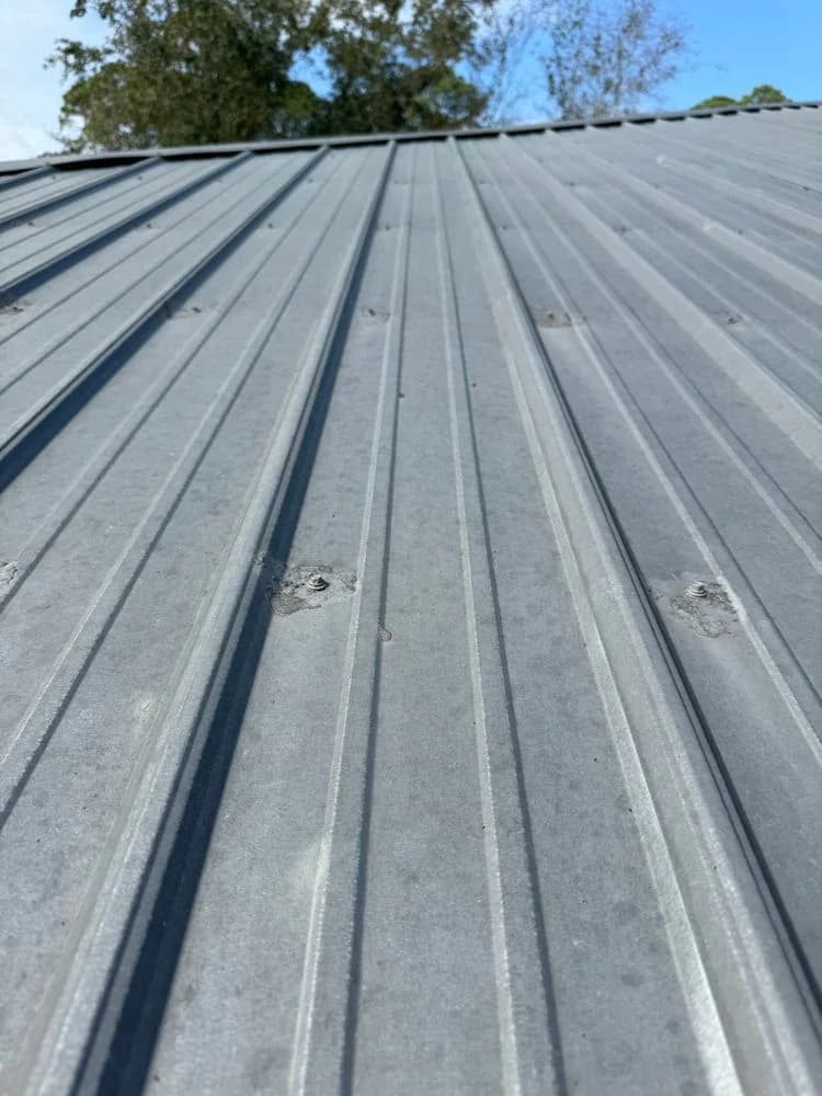 Rows of screws on a metal roof panel