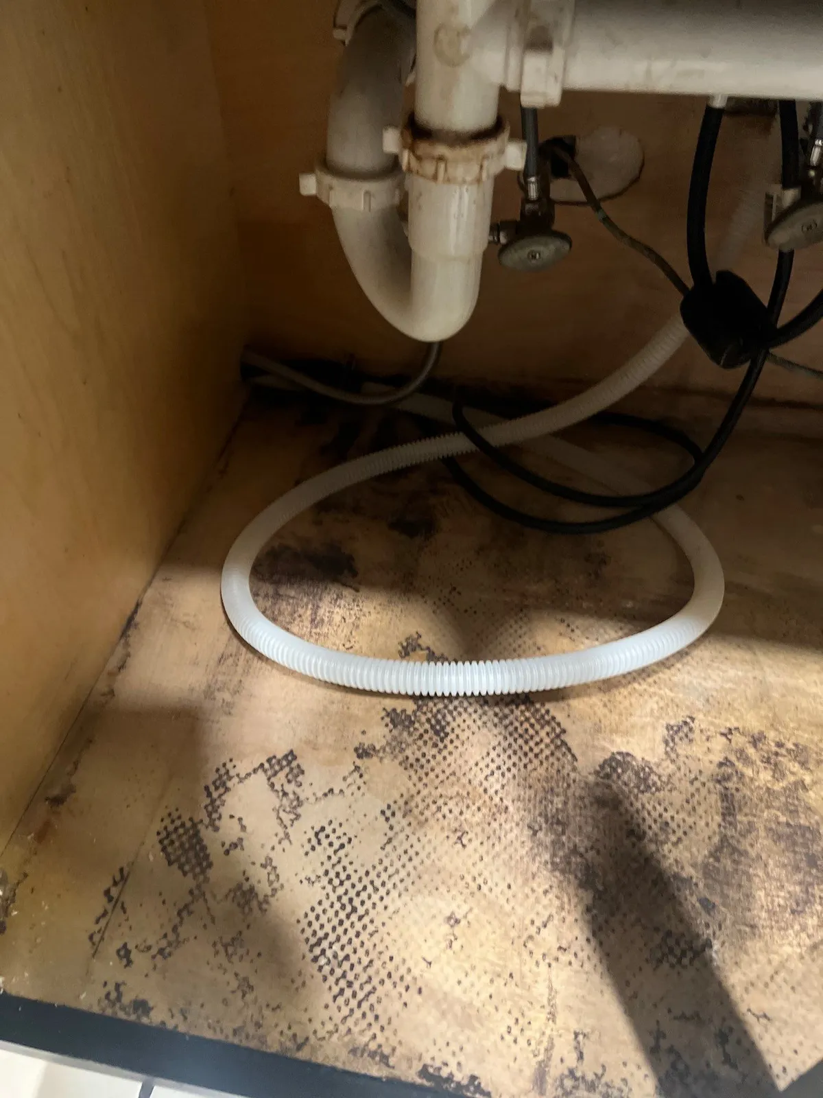 Inside a kitchen sink cabinet. The wooden floor panel is covered in dark, blotchy mold, with a white corrugated hose and drain pipes above it.