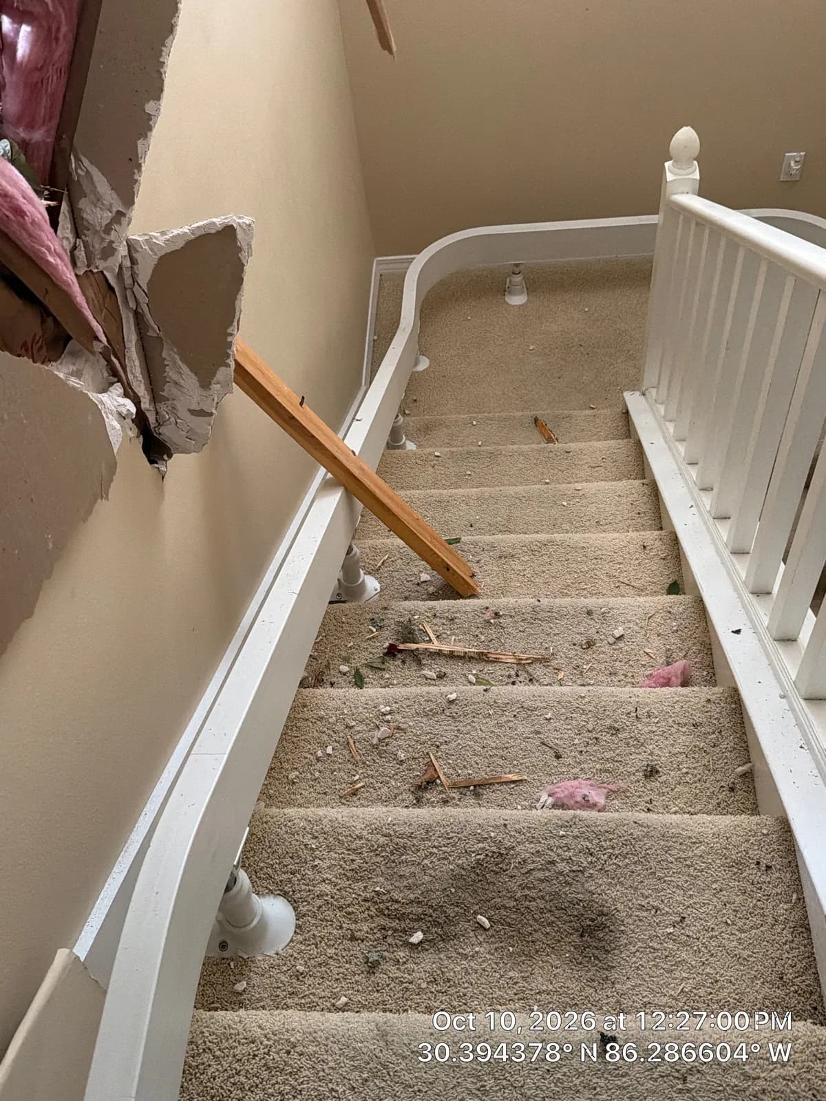 Carpeted staircase with a white railing. The wall at the top is broken open, and pink insulation, a wood piece and leaves are scattered on the steps.