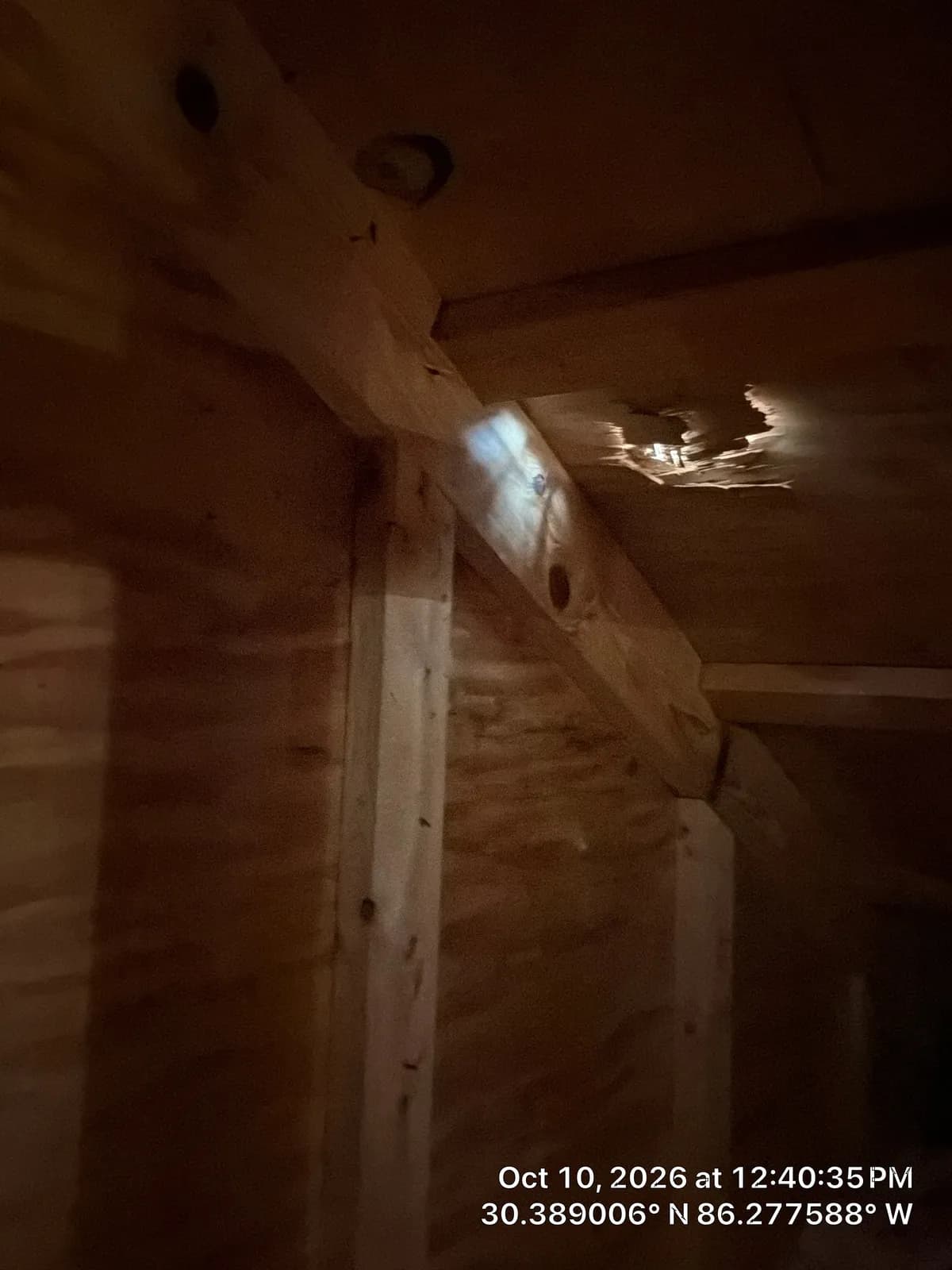 Dim attic with plywood walls and wooden rafters. A bright, jagged spot of light comes through a hole in the roof deck.