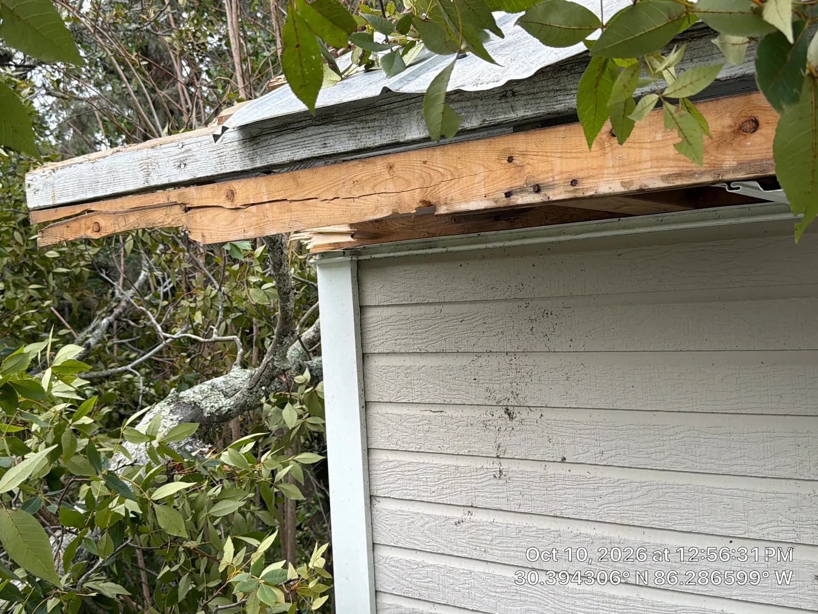 Roof edge above light siding. The trim is missing, splintered wood is exposed, and metal roofing hangs over it. Tree branches are nearby.