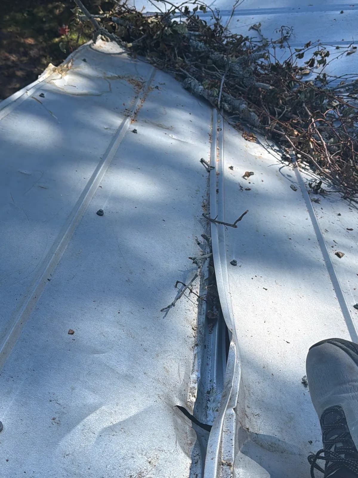 White metal roof panels with one raised seam torn open. A pile of branches lies at the top of the photo.