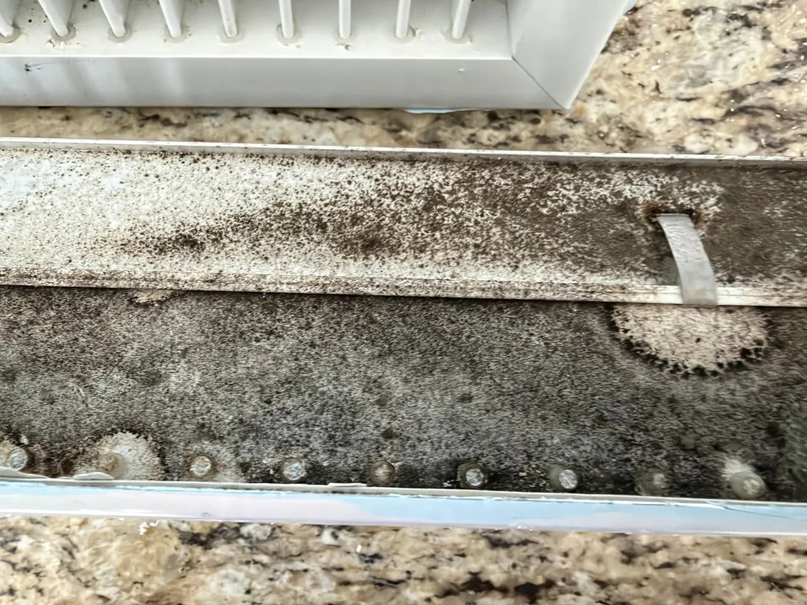 Underside of a white vent grille on a granite counter, its inner surface heavily speckled with dark gray mold.