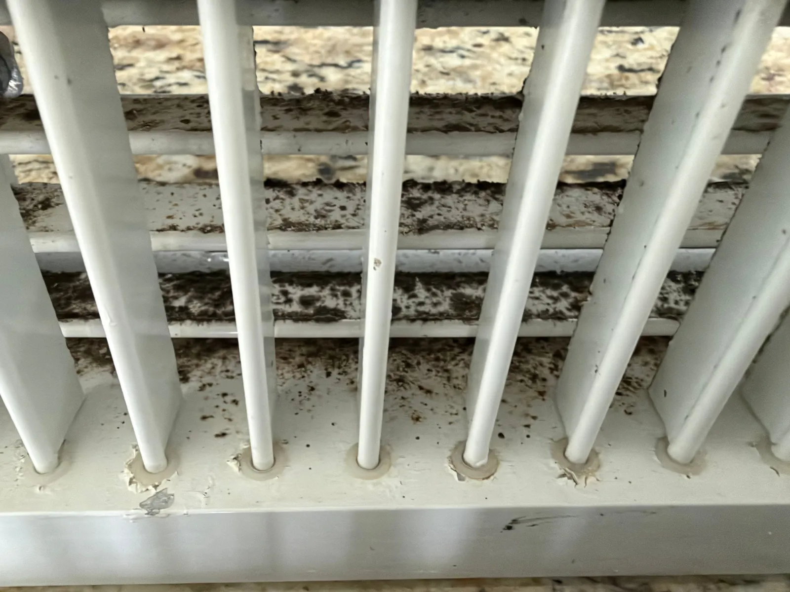 Close-up of white grille slats with dark mold speckles on the surfaces behind and between them.